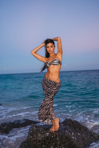 Jean Top - Gasparilla Glossy