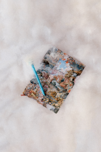 2026 Diary - Dreamworld